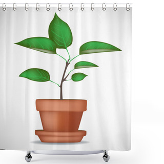 Personality  Growing Plant In Pot Shower Curtains