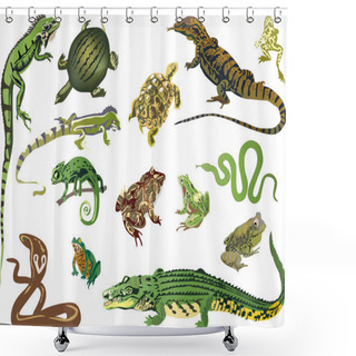 Personality  Set Of Reptiles And Amphibians Isolated On White Shower Curtains