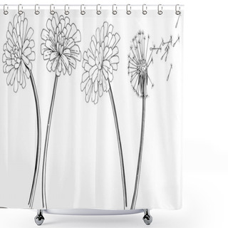 Personality  Dandelion In A Vector Style Isolated. Full Name Of The Plant: Dandelion. Vector Flower For Background, Texture, Wrapper Pattern, Frame Or Border. Shower Curtains