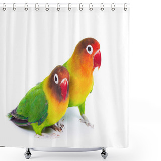 Personality  Pair Of Lovebirds Shower Curtains
