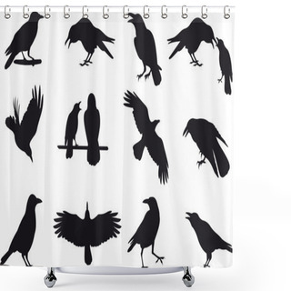 Personality  Crow Vector Shower Curtains