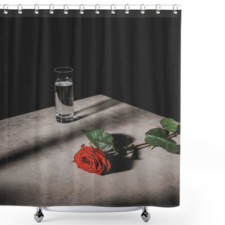 Personality  Red Rose Flower And Glass With Water On Stone Table Isolated On Black Shower Curtains