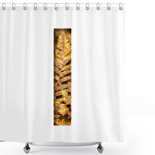 Personality  The Letter I Is Cut From White Paper With Autumn Fern Leaves Background, Late Autumn Font Or Alphabet. Collection Of Decorative Fonts. Shower Curtains