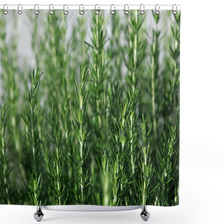 Personality  Rosemary Shower Curtains