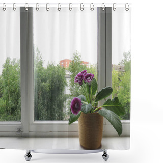 Personality  Pink Gloxinia On White Wooden Windowsill, Green Trees In The Background Shower Curtains