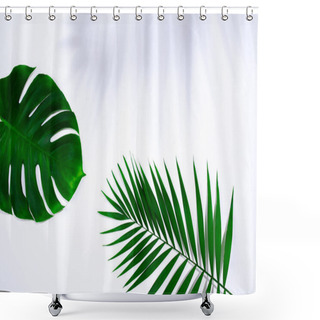 Personality  Tropical Leaves Isolated On White Background. Design For Sales Shower Curtains