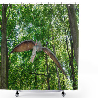 Personality  Prehistoric Flying Dinosaur Pteranodon In Nature Shower Curtains