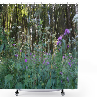 Personality  Forest Grass With Purple Blooming Wildflowers Shower Curtains