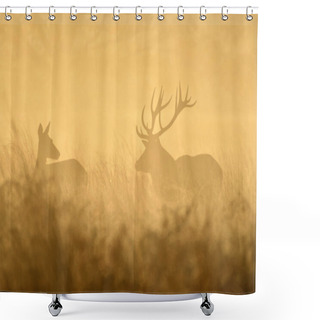 Personality  Face To Face With Red Deer Shower Curtains