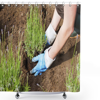 Personality  Gardening With Gloves And Boots In The Lavender Garden Shower Curtains