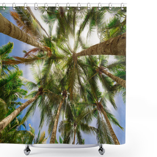 Personality  Palm Tree Sky Background Shower Curtains