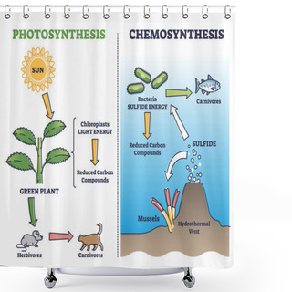Personality  Photosynthesis Vs Chemosynthesis Process Chain Description Outline Diagram Shower Curtains