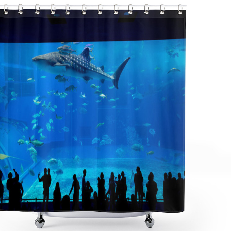 Personality  Okinawa Churaumi Aquarium   shower curtains