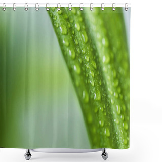 Personality  Close Up View Of Green Leaf With Water Drops On Blurred Background  Shower Curtains