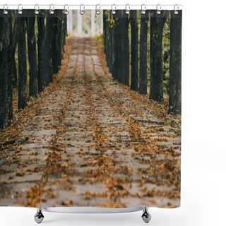 Personality  View Of Empty Autumn Park With Brown Foliage On Path Shower Curtains