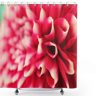 Personality  Abstract Petals Of Pink Dahlia Bloom Closeup(macro) Shower Curtains