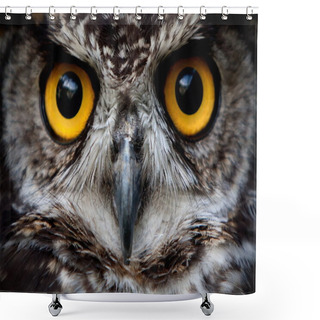 Personality  Owl Bird Face Close Up Shower Curtains