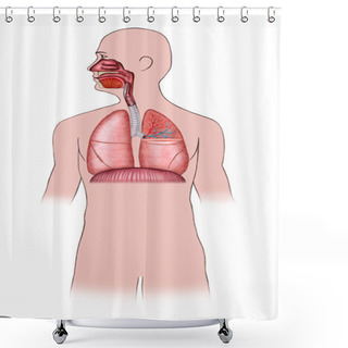 Personality  Respiratory System Shower Curtains