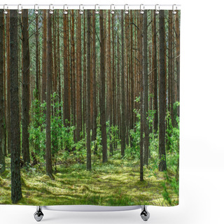 Personality  Green Dense Forest Shower Curtains