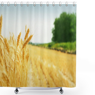 Personality  Grain Field Shower Curtains