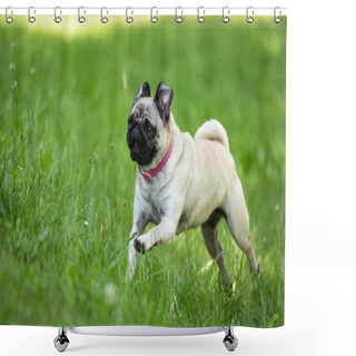 Personality  Fortunately Pug Shower Curtains