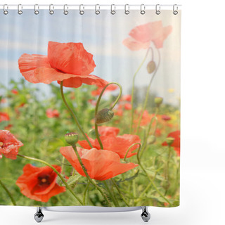 Personality  Field Of Wild Poppies And Other Flowers Shower Curtains