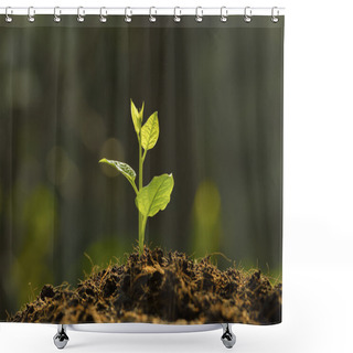 Personality  Young Plant Shower Curtains