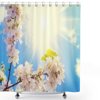 Personality  Branch Of Apple Tree Shower Curtains