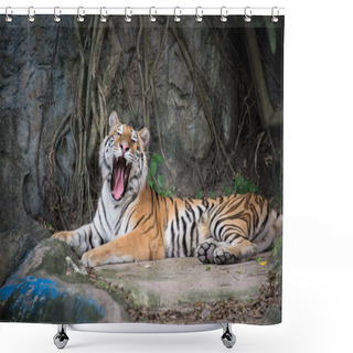Personality  Bengal Tiger Shower Curtains