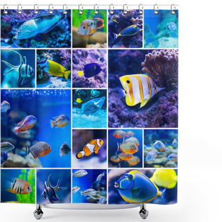 Personality  Colorful Fish In Aquarium Saltwater World Shower Curtains