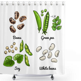 Personality  Vector Food Icons Of Vegetables. Colored Sketch Of Food Products. Baens, Green Pea, Soy Shower Curtains