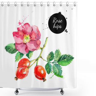 Personality  Hand Drawn Watercolor Painting Rosehips Shower Curtains