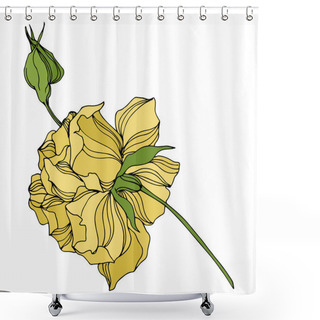 Personality  Vector Rose Floral Botanical Flowers. Engraved Ink Art. Isolated Roses Illustration Element. Shower Curtains