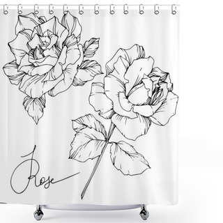 Personality  Beautiful Vector Rose Flowers Isolated On White Background. Black And White Engraved Ink Art. Shower Curtains