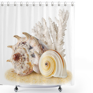 Personality  Sea Shells Shower Curtains