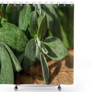 Personality  Fresh Organic Sage Leaves Over A Wood Cutting Board Shower Curtains