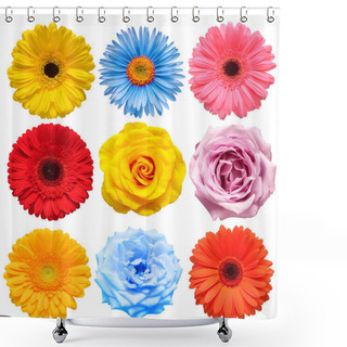 Personality  Flowers Head Collection Of Beautiful Rose, Daisy, Gerbera, Chrys Shower Curtains