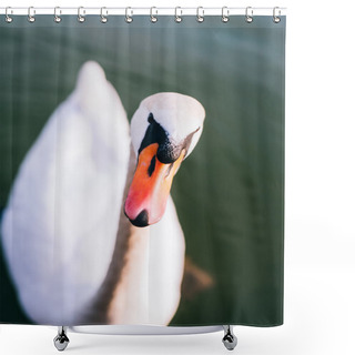 Personality  Graceful Swans Swimming Shower Curtains