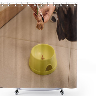 Personality  Cropped View Of Woman Holding Tasty Pet Food Near French Bulldog And Bowl Shower Curtains