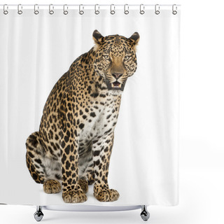 Personality  Leopard Sitting, Roaring, Panthera Pardus Shower Curtains