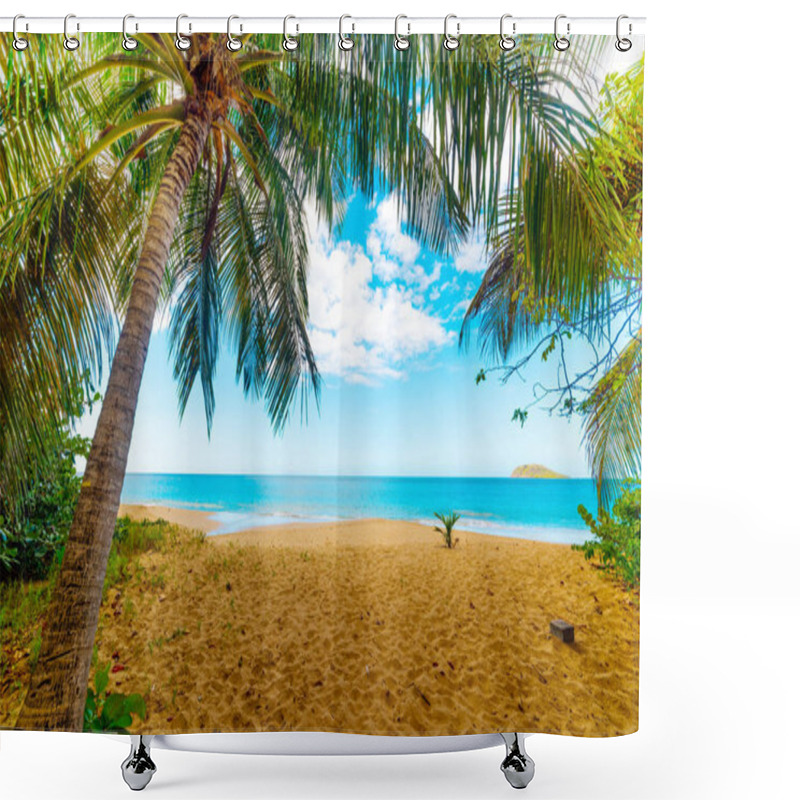 Personality  Palm Trees In La Perle Beach In Guadeloupe Shower Curtains