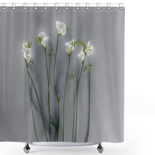 Personality  Blooming Freesia Flowers Over Grey Background Shower Curtains