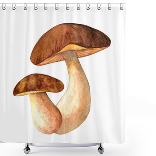 Personality  Watercolor Porcini Set Isolated White Background Shower Curtains