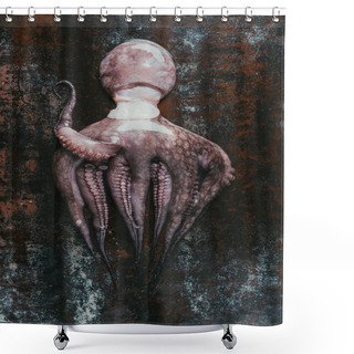 Personality  Top View Of Big Raw Octopus On Dark Rusty Surface Shower Curtains