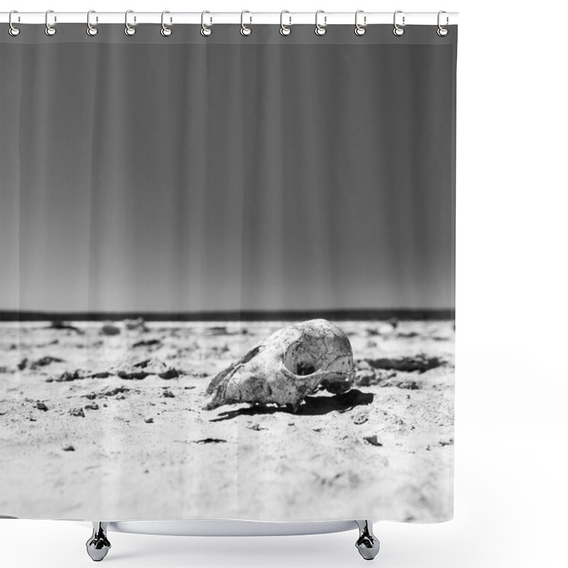 Personality  Skull in Desert Black and White shower curtains