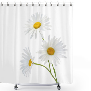 Personality  Chamomile Flower Shower Curtains