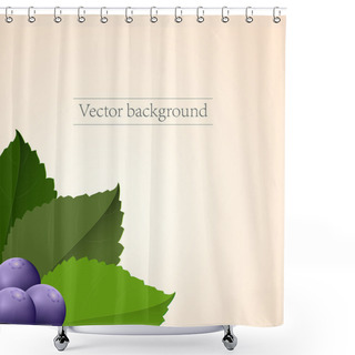 Personality  Vector Background With Blueberries. Shower Curtains