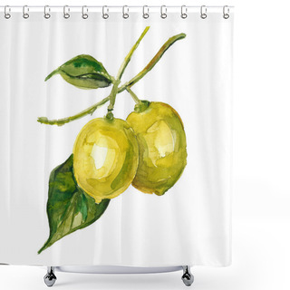 Personality  Lemons Shower Curtains