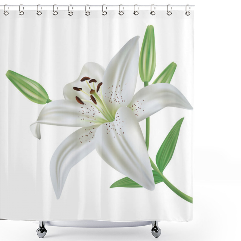 Personality  Lily Flower Isolated On White Background Shower Curtains