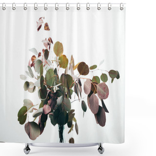 Personality  Green Decorative Eucalyptus Branches In Vase Isolated On White Shower Curtains